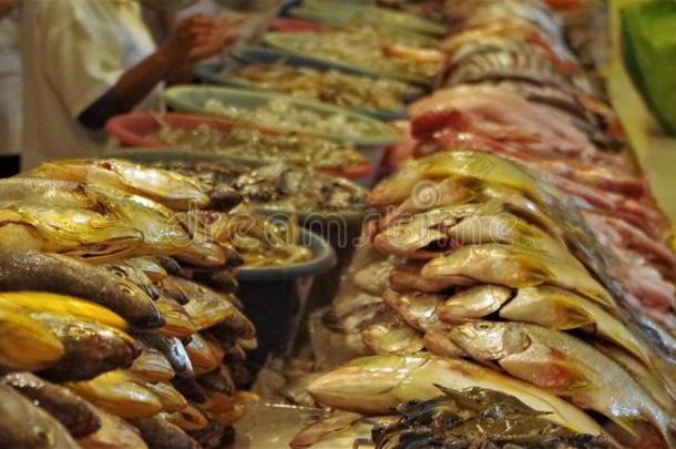 传统的海产食品交易展览采用特古西加尔巴洪都拉斯