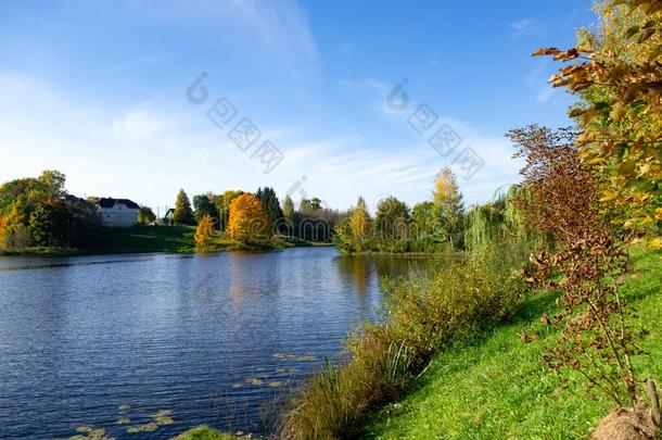 秋风景,黄色的树在上面指已提到的人湖