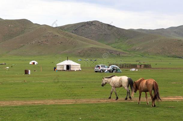 游牧民生活关于蒙古的向无树平原
