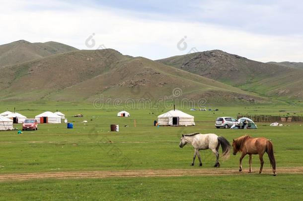 游牧<strong>民生</strong>活关于蒙古的向无树平原