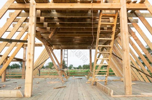 低的角看法关于构架成员采用木材框架家在下面常数