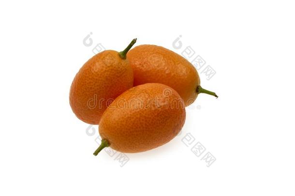 金橘金橘成果向隔离的白色的背景关在上面