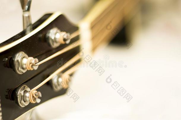 听觉的低音歌唱家吉他向指已提到的人白色的背景