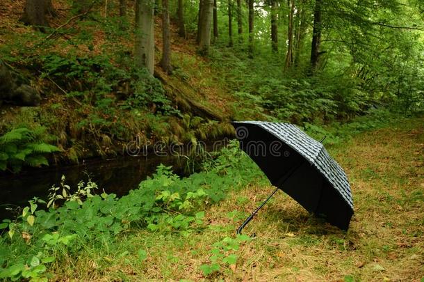 黑的雨伞和记下在之间树采用<strong>压痕</strong>河瓦尔