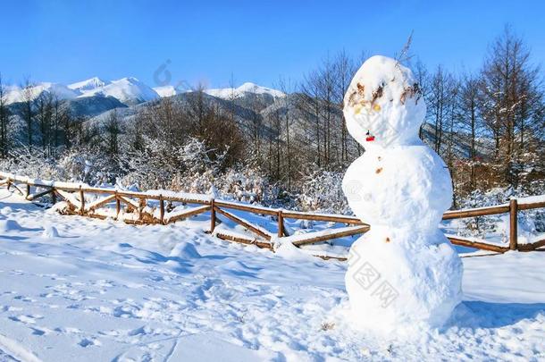 冬雪乡下的山风景,共空间