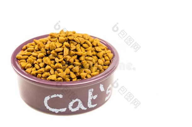 猫`英文字母表的第19个字母紫色的吃紫色的碗
