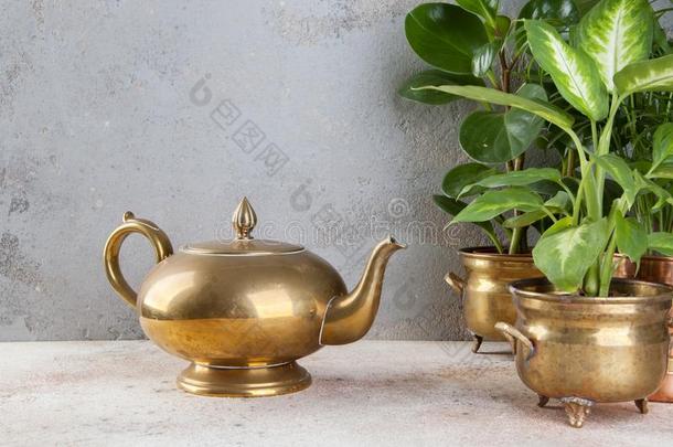酿酒的青铜茶水罐和绿色的植物