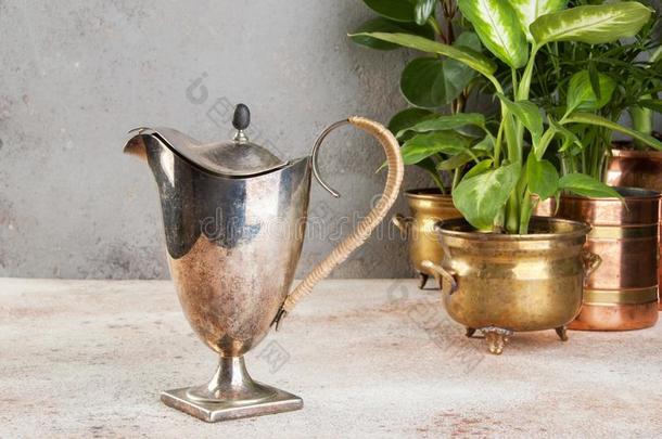 酿酒的金属咖啡豆罐和绿色的植物