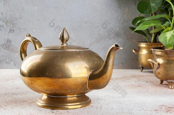 酿酒的青铜茶水罐和绿色的植物