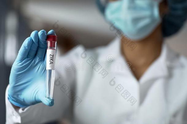 病毒学家展映齐卡病毒疫苗,引导临床的试验