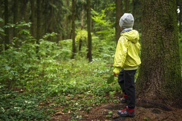 小孩用来表示某人或某物即主语本身失去的采用指已提到的人森林.小的男孩失去的他的道路采用指已提到的人为