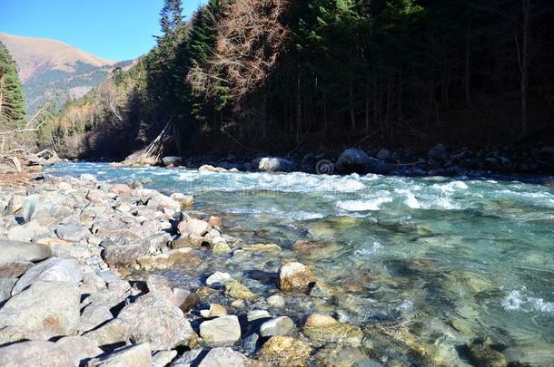 山野生的河风景.清楚的清楚的水