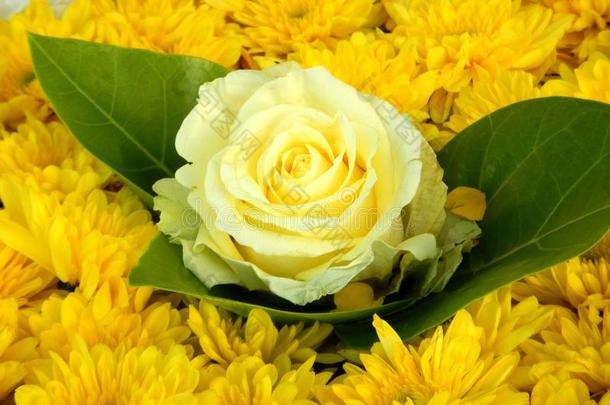 黄色的花装饰,黄色的玫瑰和基督主旋律