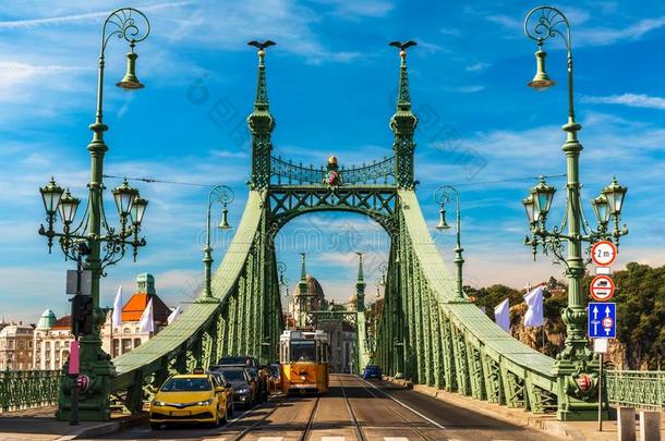 交通在指已提到的人自由桥,布达佩斯