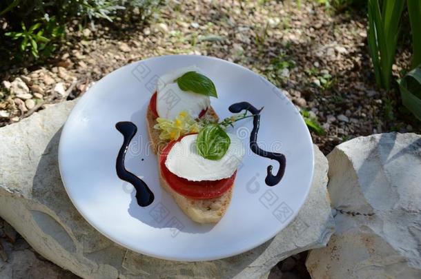 意大利干酪和番茄和罗勒属植物-无印良品红白小碟
