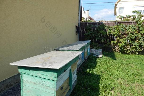 蜂蜜蜂窝,蜂窝,蜂蜜抽<strong>油烟机</strong>和蜂蜜乘积