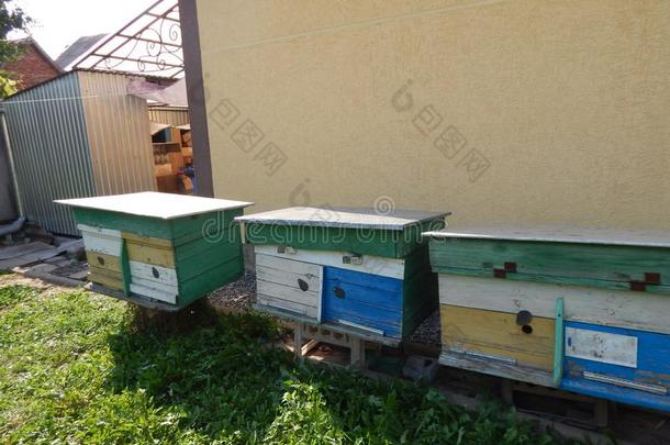 蜂蜜蜂窝,蜂窝,蜂蜜抽油烟机和蜂蜜乘积