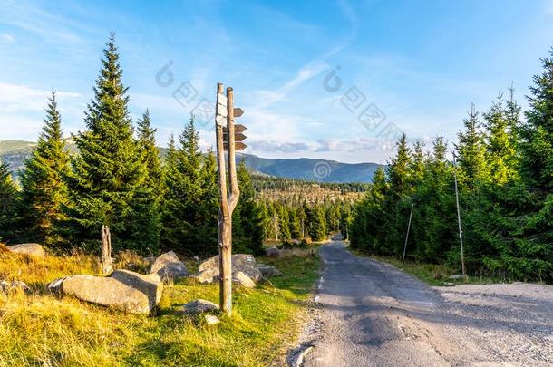 旅行者<strong>指示牌</strong>采用指已提到的人中部关于mounta采用风景,巨人人名