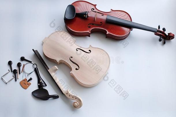 指已提到的人生的小提琴和附件放不中完整的小提琴