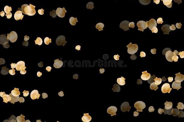 金贝壳矢量,金色的珍珠双壳类软体动物类.