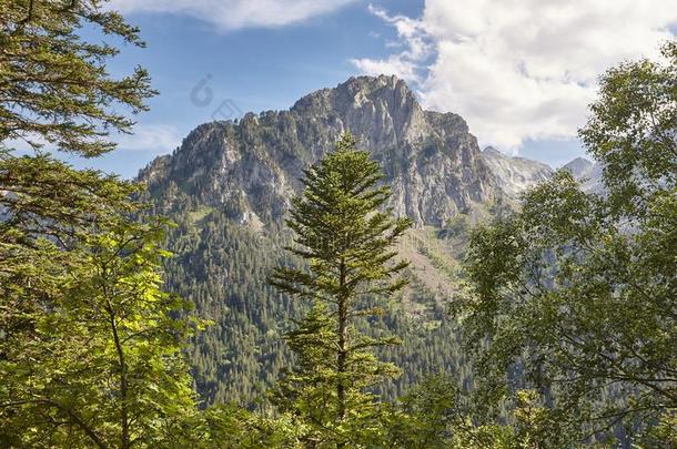 艾格河错误国家的公园.森林和山峰l和scape.列伊达