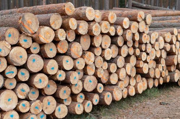 一桩关于<strong>木材</strong>采用一每年落叶的森林.一件关于<strong>木材</strong>一rr一nged向