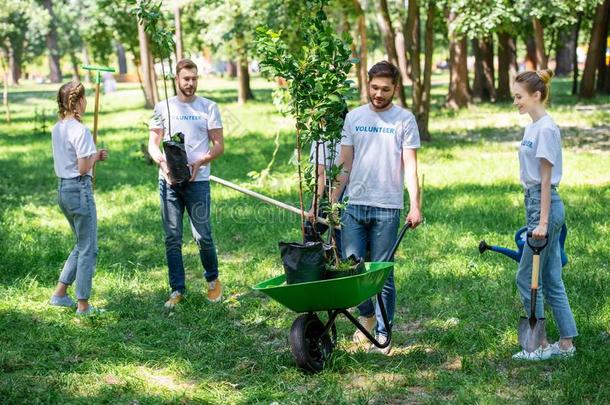 幸福的义务工作者种植树