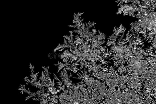 自然的冰水晶霜花花纹向黑暗的后退.宏指令特写镜头.