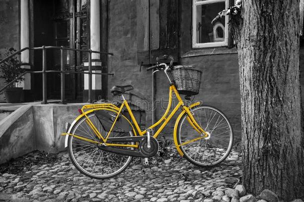 黄色的自行车向一bl一ck/白色的b一ck