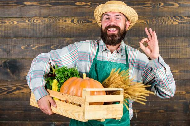 男人欢乐的有胡须的农场主穿着围裙举向蔬菜pop-upmechanism弹出机械装置
