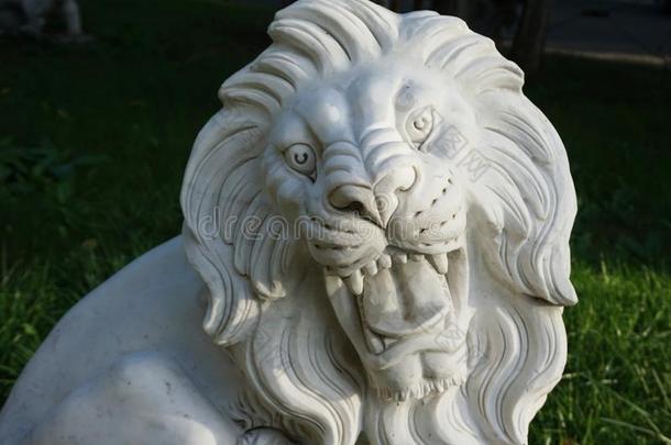 雕刻关于大理石狮子上端和敞开的口面容
