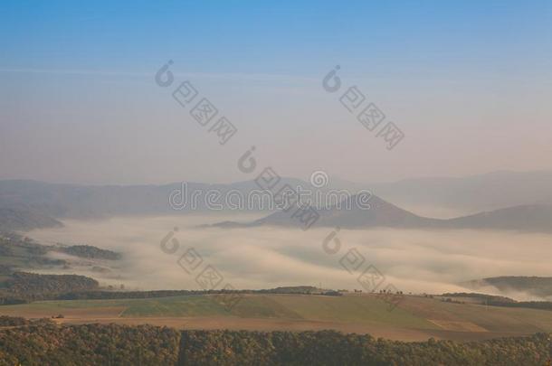多雾的早晨采用中央的放荡不羁的文化人高地,捷克人共和国.