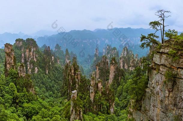 天子化身山自然公园-七月中国