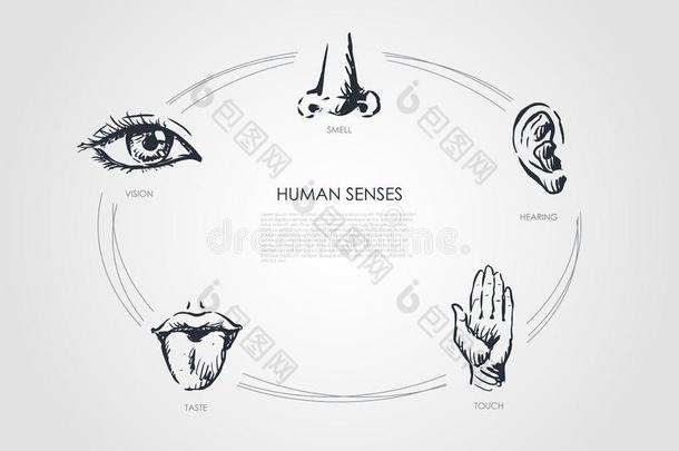 人五官的感觉-视力,味道,触摸,听力,嗅觉观念放置