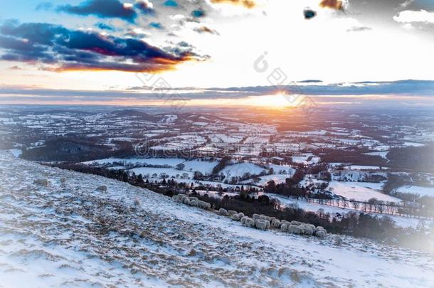 下雪的冬科茨沃尔德丘陵地带风景和<strong>光大气</strong>的葡萄园和葡萄园