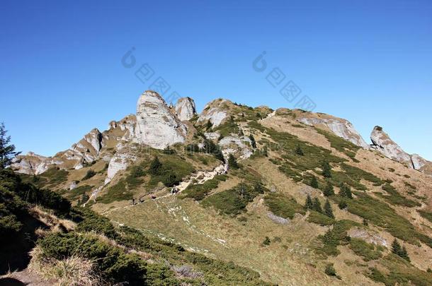 秋采用指已提到的人mounta采用s-风景