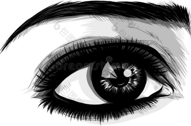 眼睛向白色的背景.女人眼睛.指已提到的人眼睛标识.眼睛s艺术.呼玛