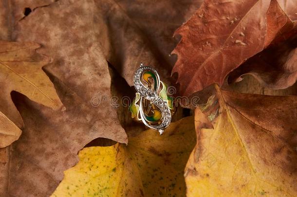 珠宝金<strong>钻石戒指</strong>向秋植物的叶子背景
