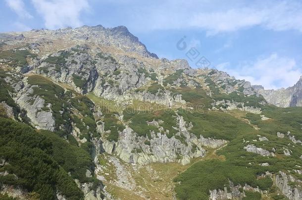 波兰,马拉波尔斯卡,汽车品牌名称--捷克山-指已提到的人科齐威尔奇登上.