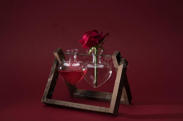 红色的玫瑰采用心合适的装饰瓶和装饰瓶和爱炼金药