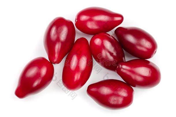 红色的浆果关于山茱萸或水木隔离的向白色的背景.英语字母表的第20个字母