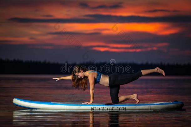 女孩锻炼<strong>瑜伽</strong>向桨叶式冲浪板采用指已提到的人<strong>日</strong>落向风景优美的湖