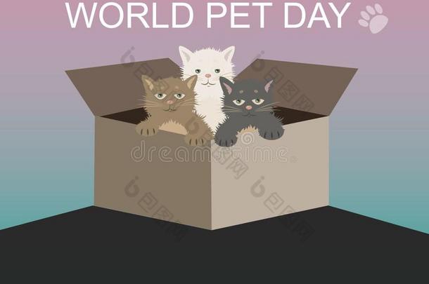世界宠物一天猫