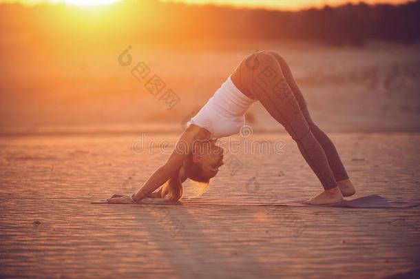 美丽的年幼的女人练习瑜伽<strong>瑜珈</strong>的任何一种姿势阿多穆卡Svan<strong>瑜珈</strong>的任何一种姿势
