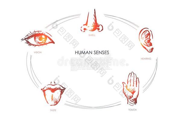 人五官的感觉-视力,味道,触摸,听力,嗅觉观念放置