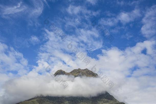 云在指已提到的人顶关于米尔福德声音山,新的西兰岛