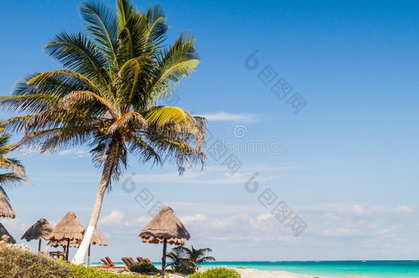 完美的加勒比海海滩采用图卢姆,Mexicali墨西卡利