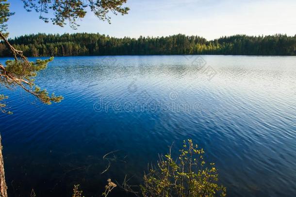 美丽的风景和湖在日落采用卡累利阿,俄罗斯帝国