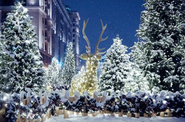 夜冬莫斯科采用指已提到的人雪.驯马术正方形装饰为指已提到的人