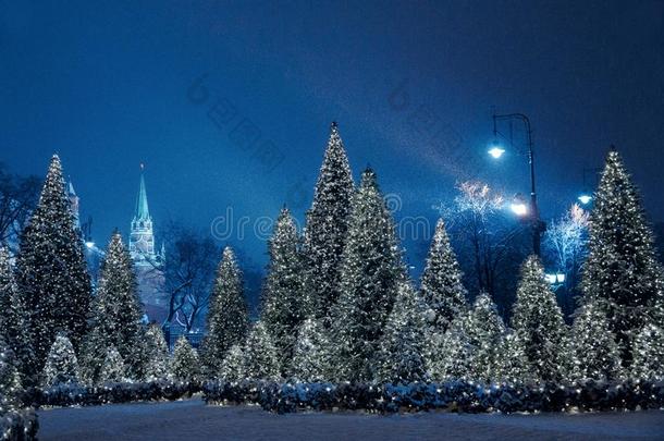 夜冬莫斯科采用指已提到的人雪.驯马术正方形装饰为指已提到的人